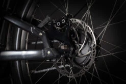 Cube Cargo Hybrid 500 2024 -Cube Shop 389200 d2 1130