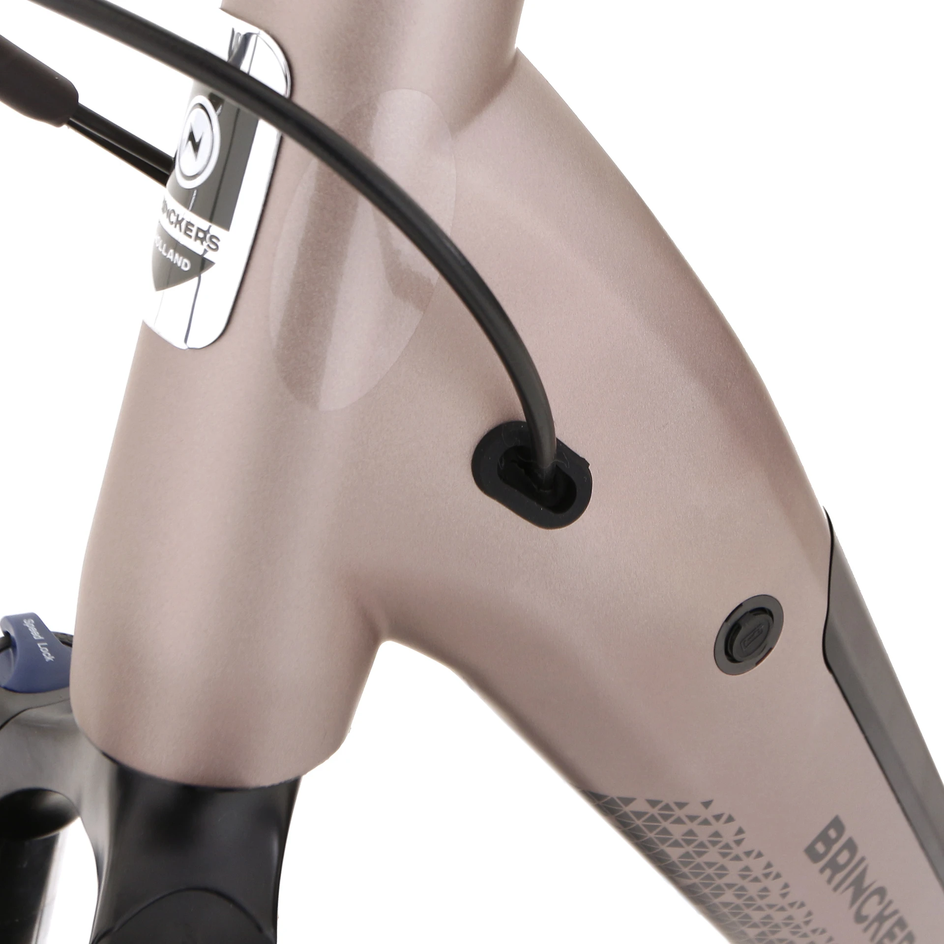 Brinckers Brisbane GT 2023 Dames 6 Brinckers Brisbane GT 2023 Dames - Afbeelding 4