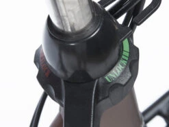 Cortina E-Common Family DB7 Bosch ActiveLine+ MM Lage Instap 2023 25 Cortina E-Common Family DB7 Bosch ActiveLine+ MM Lage Instap 2023 -Cube Shop CAXF8C A 4ed8