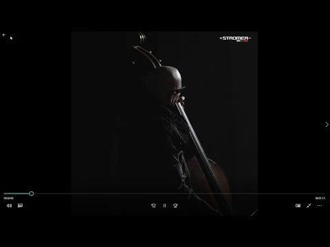 Stromer ST5 ABS Sport 4 Stromer ST5 ABS Sport - Afbeelding 2