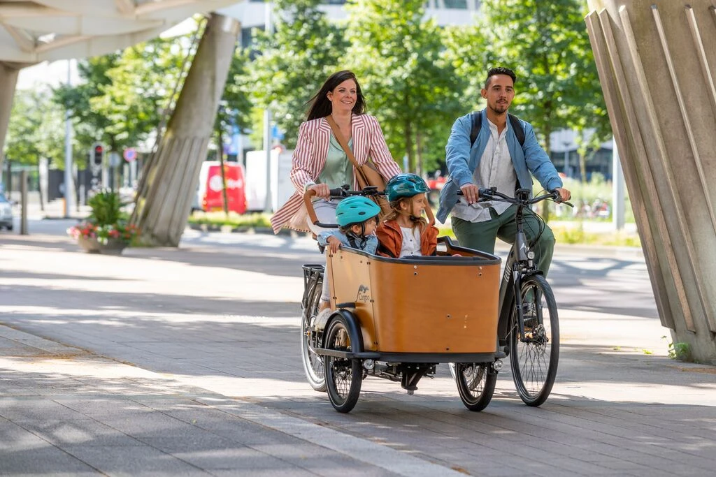 Cangoo Buckle Bakfiets 9 Cangoo Buckle Bakfiets - Afbeelding 7