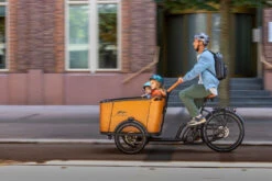 Cangoo Buckle Bakfiets 21 Cangoo Buckle Bakfiets -Cube Shop Medium E bike zakelijk 2022 53 e38f