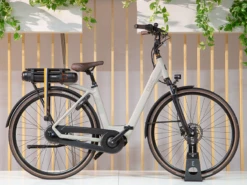 QWIC Premium MN7D+ Dames 46cm Showmodel