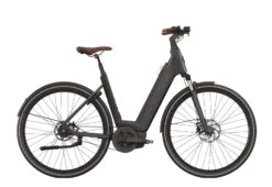 QWIC Premium Q MN8 Belt Dames