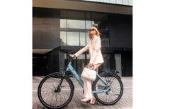 Tenways CGO800S -Cube Shop Tenways CGO 800 sfeerbeeld 2 d102