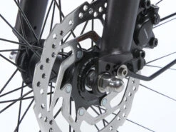 Cortina E-Common DB7 Bosch ActiveLine+ MM Belt-Drive 2023 Dames 24 Cortina E-Common DB7 Bosch ActiveLine+ MM Belt-Drive 2023 Dames -Cube Shop cortina e common db7 bosch belt dames remschijf 7998