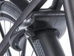 Cortina E-Common DB7 Bosch ActiveLine+ MM Belt-Drive 2023 Dames 25 Cortina E-Common DB7 Bosch ActiveLine+ MM Belt-Drive 2023 Dames -Cube Shop cortina e common db7 bosch belt dames slot 623d