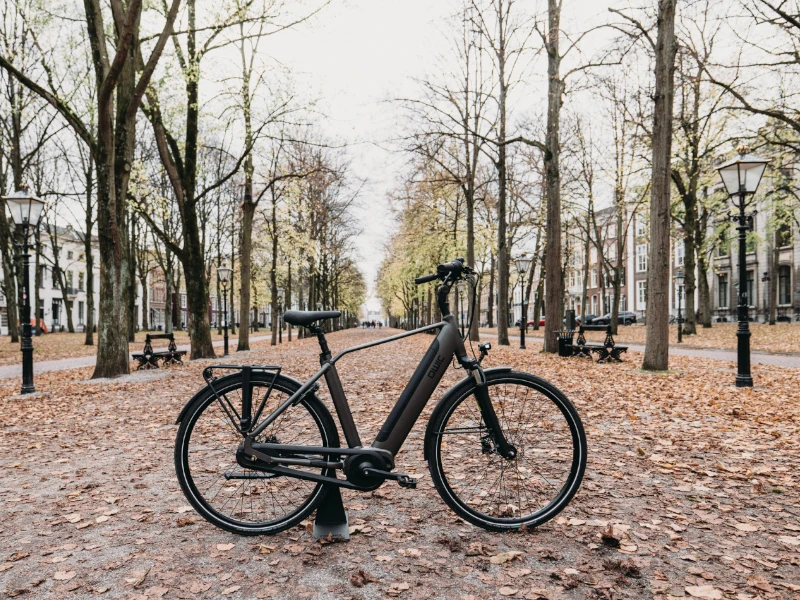 QWIC Premium I MN7+ Heren 15 QWIC Premium I MN7+ Heren - Afbeelding 13