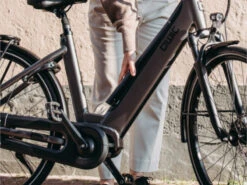 QWIC Premium I +Auto Dames 12 QWIC Premium I +Auto Dames -Cube Shop qwi premium i plus auto dames accu 17ad