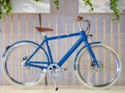 Watt Boston 54cm Showmodel